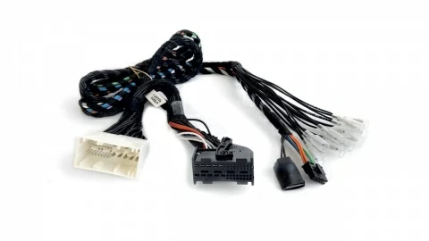 Cablu Plug&Play APBMW REAMP 2